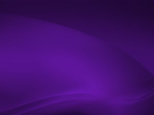 合同管理